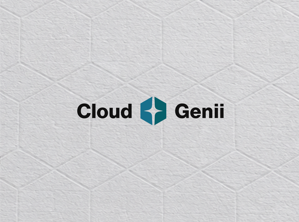 Cloud Genii brand identity and visual system